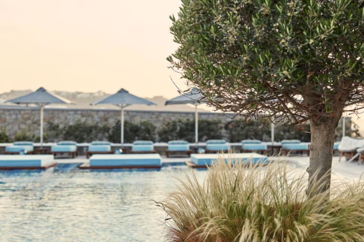 Swimming pool and sunbeds